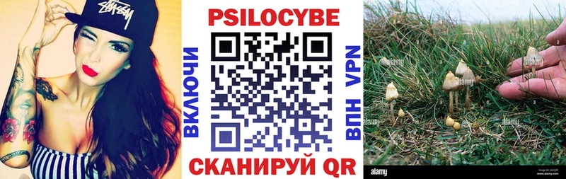 купить наркоту  блэк спрут онион  Галлюциногенные грибы Psilocybe  Ермолино 
